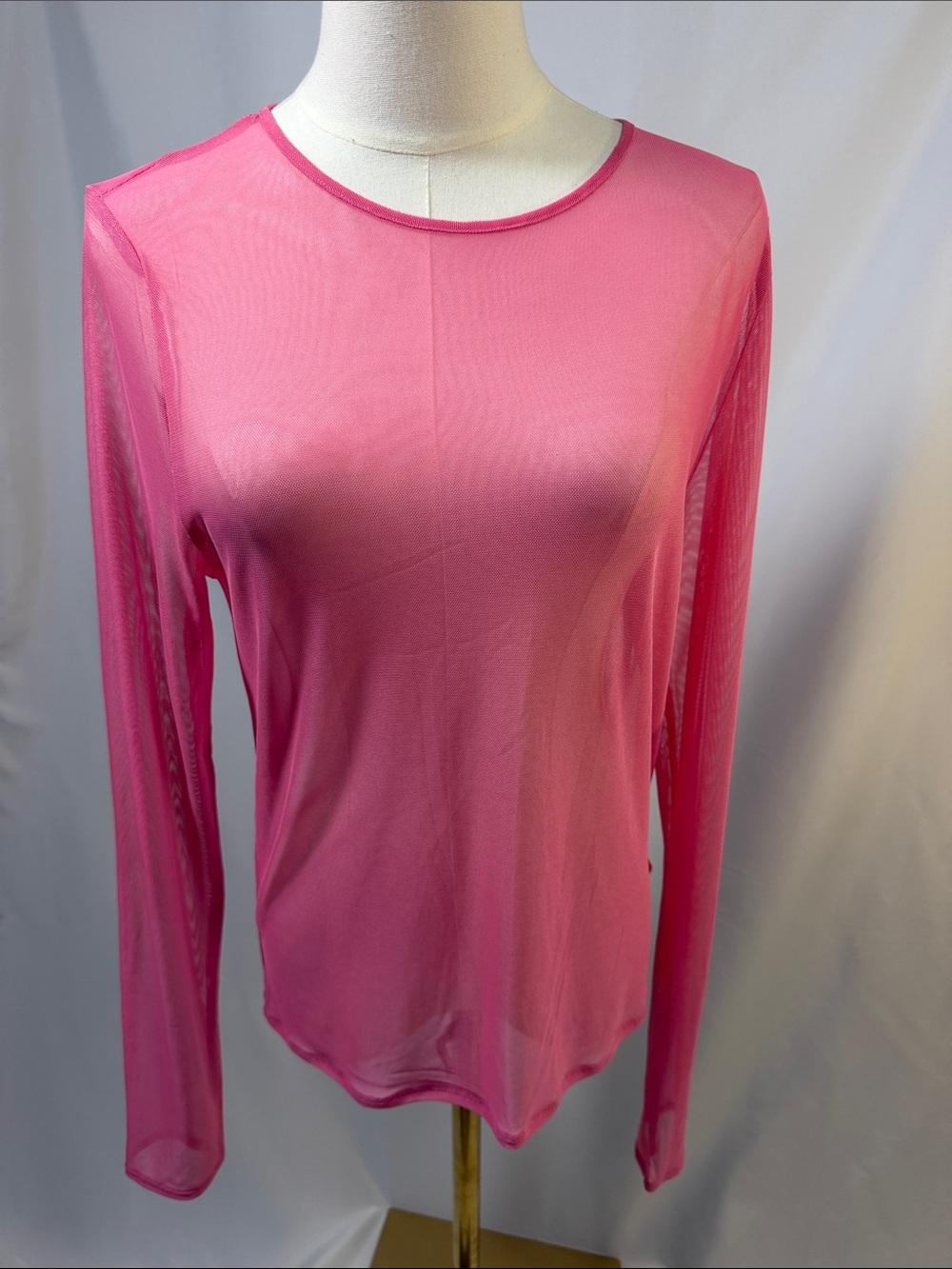 NWT American Eagle Outfitters Sheer Long-Sleeve Top in Hot Pink